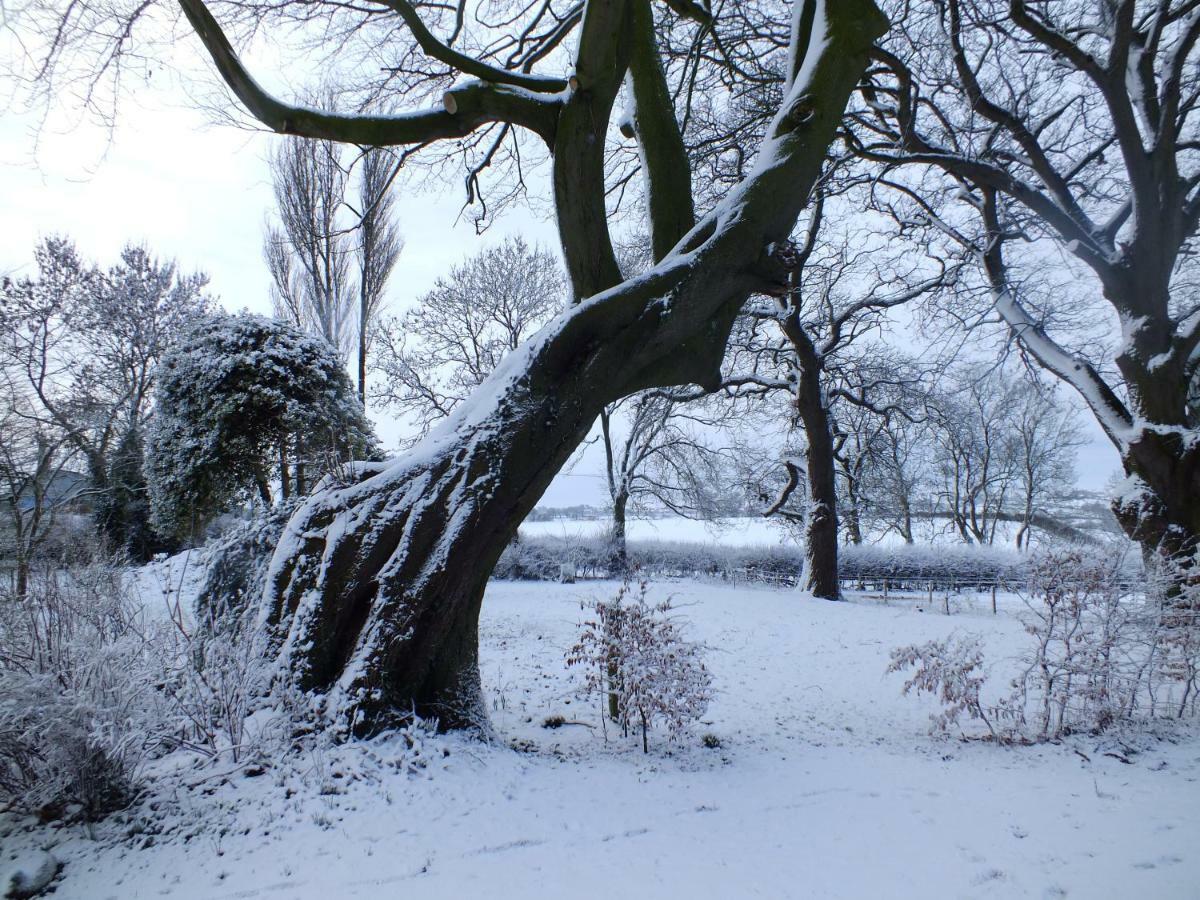 White House Farm Cottages West Haddon Exteriör bild